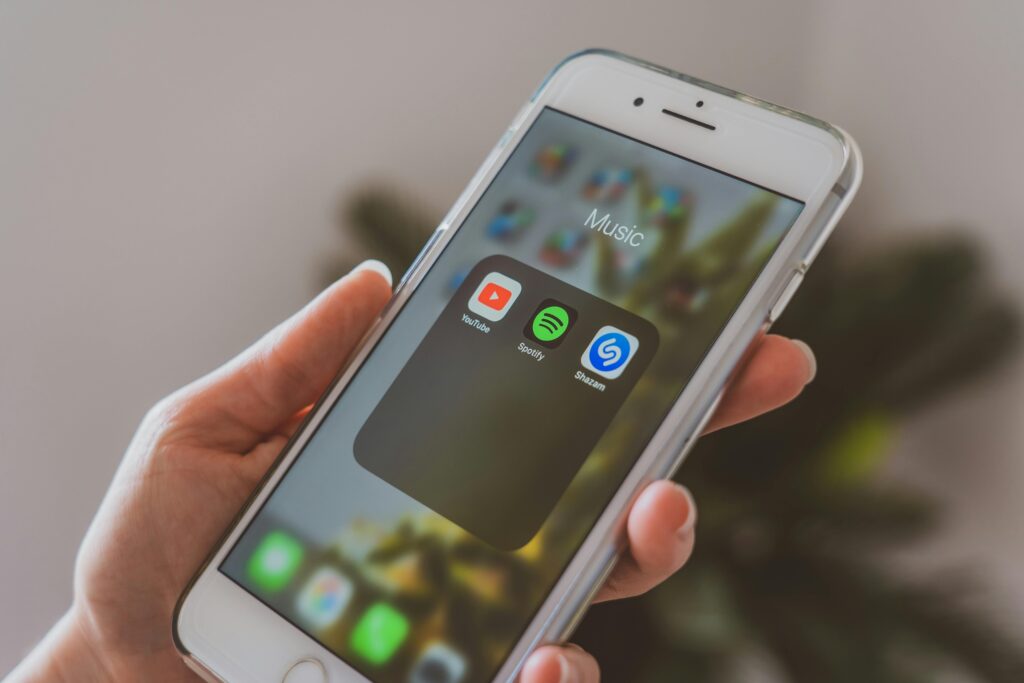 Spotify Playlist Dynamics: Strategies for Play Optimization and Audience Expansion